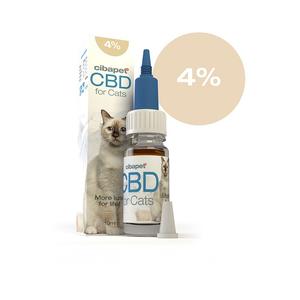 CBD oil for cats