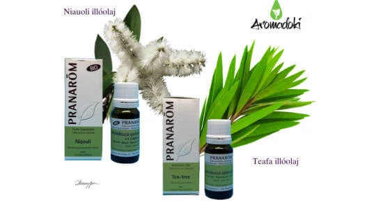 A Niauoli és a Teafa illóolaj alkalmazása és hatásai 